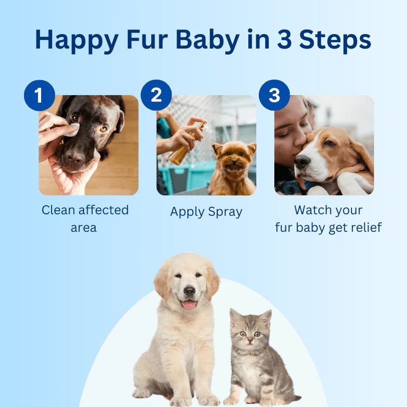 Spray para animais de estimação formulado por veterinários